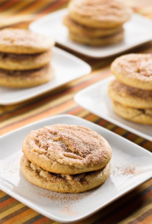 Snickerdoodle Cookie Dough