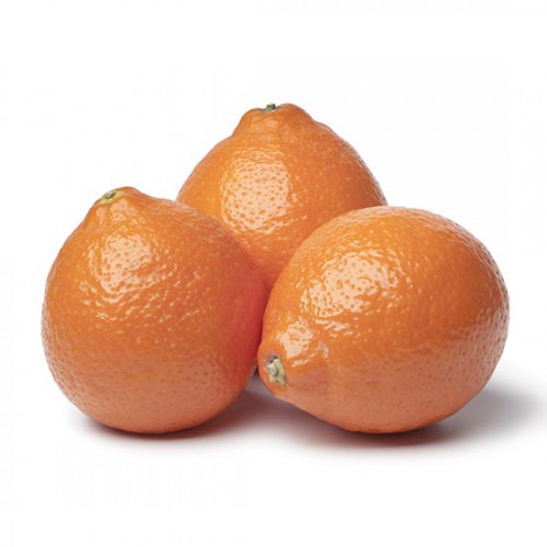Honeybell Tangelos